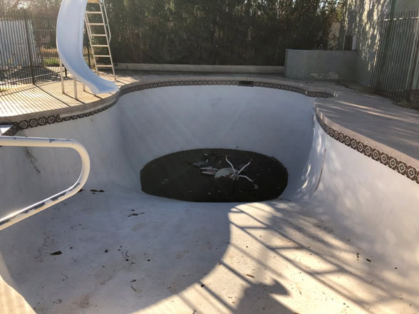 Photo Jan 23, 4 05 43 PM