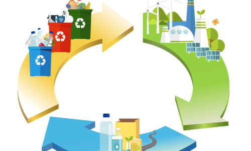 Waste Management Designing a Circular Economy