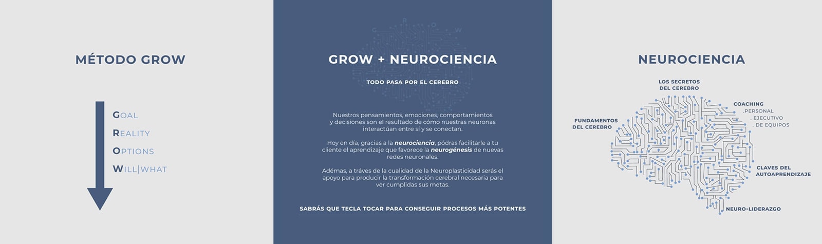 Neurociencia