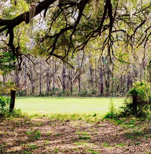 Mornington Land Clearing land clearing melbourne