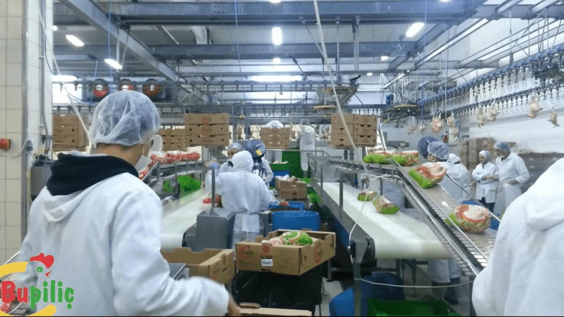 Screen-Shot-2020-11-12-at-8.30.55-PM-2