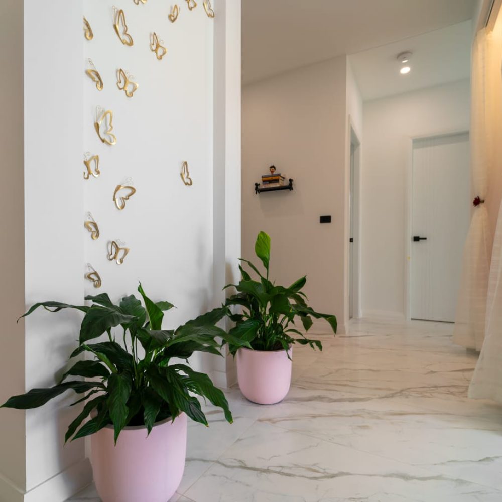 WhatsApp Image 2024-01-06 at 11.59.52 PM