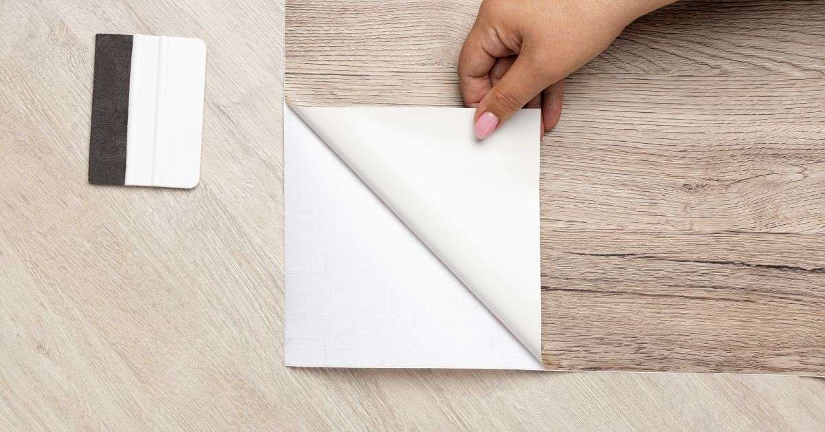 .jpg