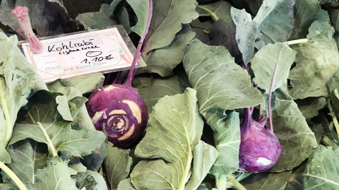 Beitragsbild Regional einkaufen Kohlrabi aus eigener Ernte