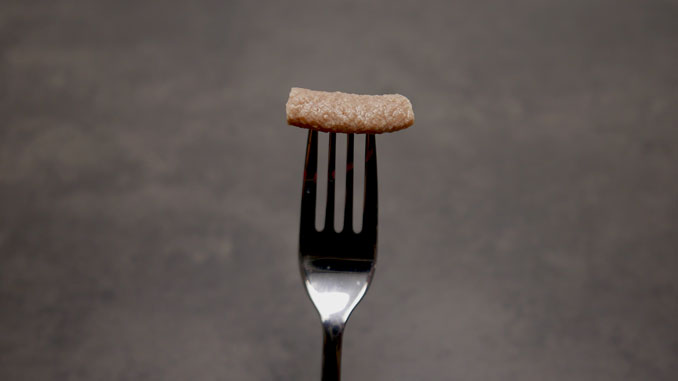 Header-Test-Low-carb-Nudeln Eiweißnudel aufgespießt auf Gabel