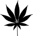 fb0106_7d9881d22058448eab838575f58147d8_mv2 Michigan Cannabis Lawyer Reviews www.micannabislawyer.com