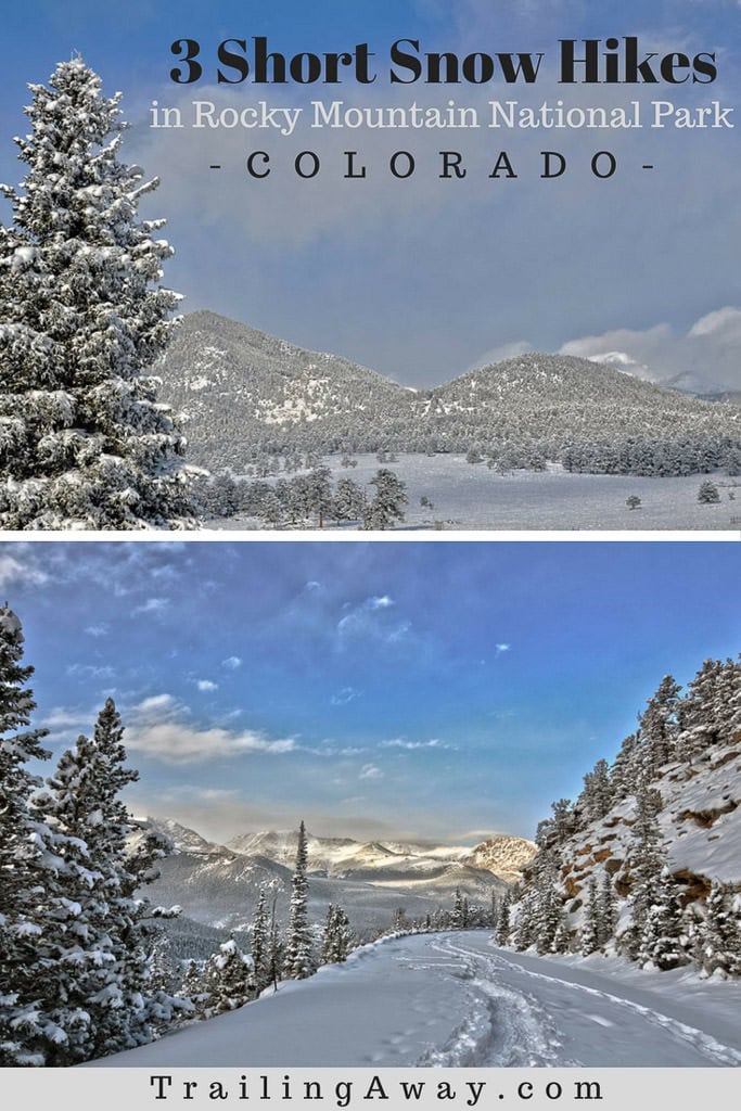 3 Easy Hikes in Rocky Mountain National Park in Winter