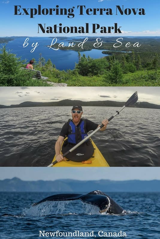 Exploring Terra Nova National Park by Land & Sea