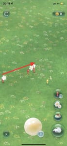 Pikmin Bloom ピクミンブルーム で使える便利な小技を解説 App Story