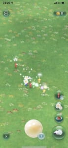 Pikmin Bloom ピクミンブルーム で使える便利な小技を解説 App Story