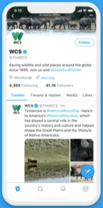 Twitterの画像サイズが縦長に表示されるように変更 詳細や変更点 今後の画像の載せ方のおすすめなどをご紹介 App Story