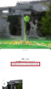 Pikmin Bloom ピクミンブルーム の大きい花の詳細や大きい花を咲かせる方法を解説 App Story Pikmin Bloom ピクミンブルーム の大きい花の詳細や大きい花を咲かせる方法を解説 App Story