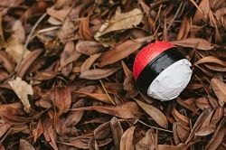 ポケモンgoでお香を使ってもポケモンが出てこない原因と対処法 App Story ポケモンgoでお香を使ってもポケモンが出てこない原因と対処法 App Story
