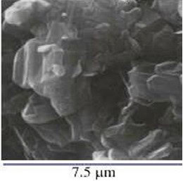 Hình 9. Ảnh SEM của tinh thể Illit
