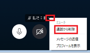 Skypeのビデオ通話のやり方と複数人で会議する方法について解説 App Story