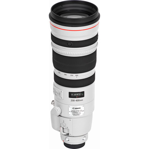 Canon EF 200-400mm f/4L IS USM + 1.4x Extender