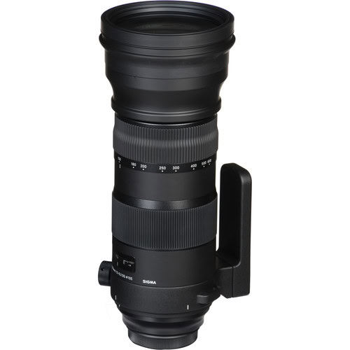 Sigma 150-600mm f/5-6.3 DG OS HSM Sports