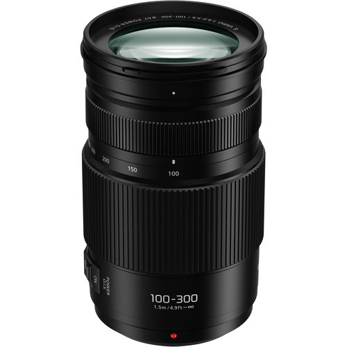 Panasonic 100-300mm f/4-5.6 II objectif photo spot pour Olympus OMD EM 1 Mark III