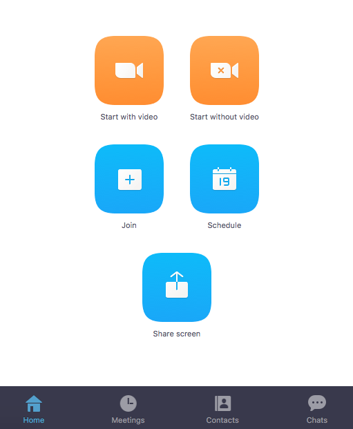 Zoom Meeting Interface