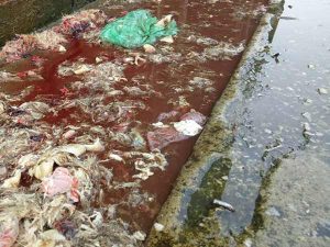 Nước thải giàu chất hữu cơ cần được xử lý