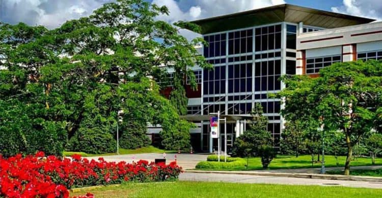 ONLINE Sabancı ELAE Sınav İçeriği Değişti! Detaylara Bakalım