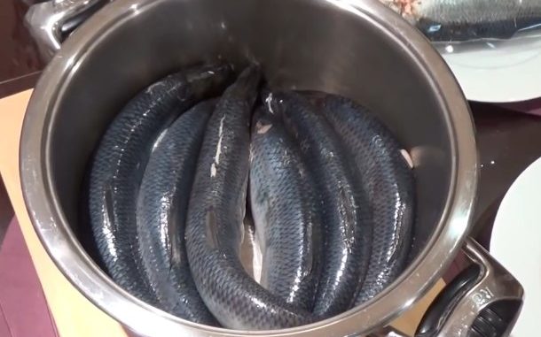 соление селедки в домашних условиях рецепт соление селедки в домашних условиях рецепт