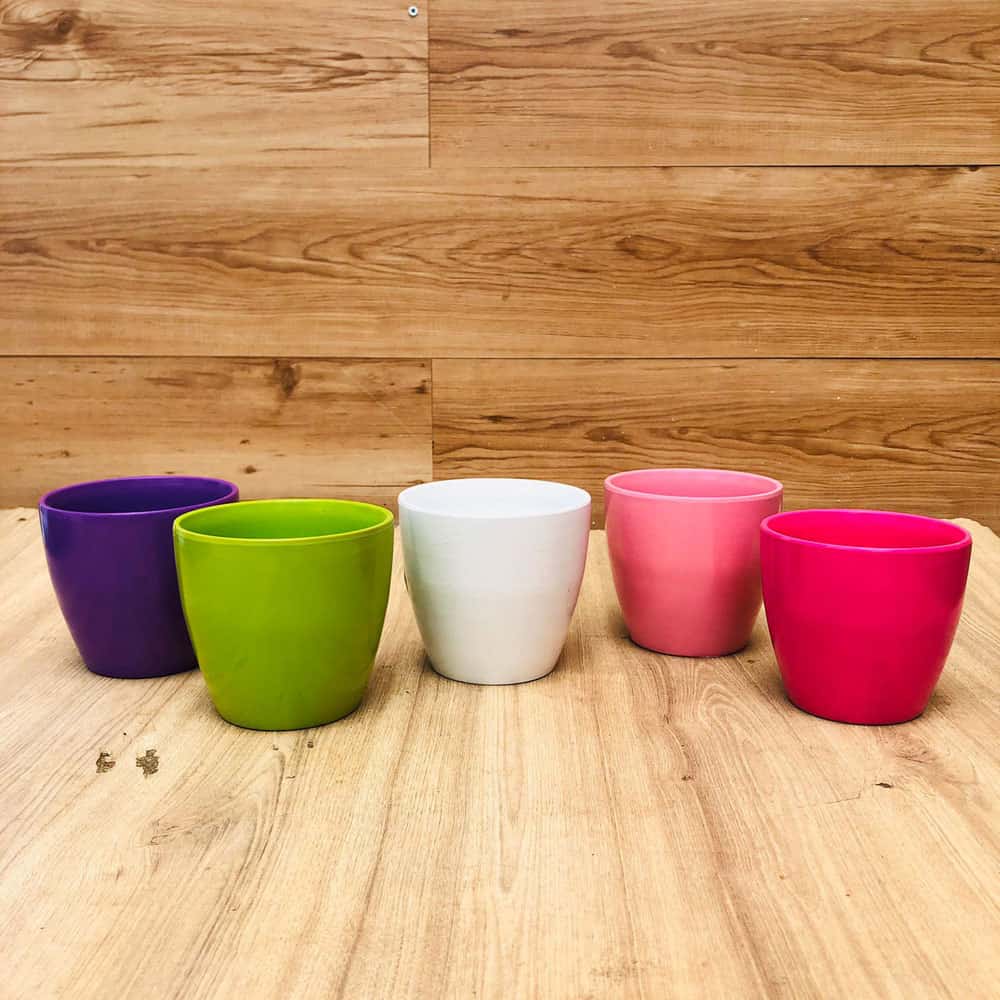 כלי קרמיקה לעציץ קטן