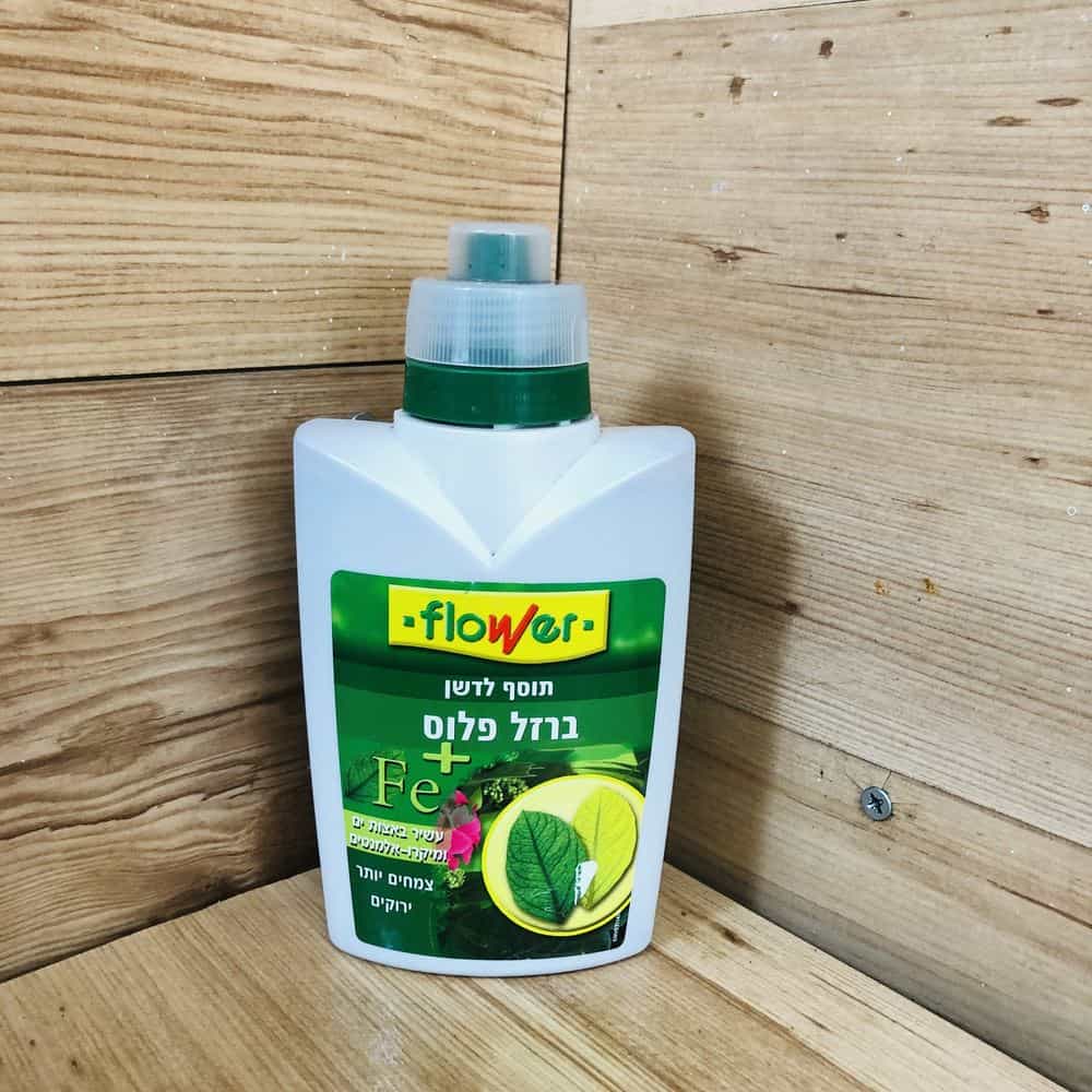 תוסף ברזל פלוס