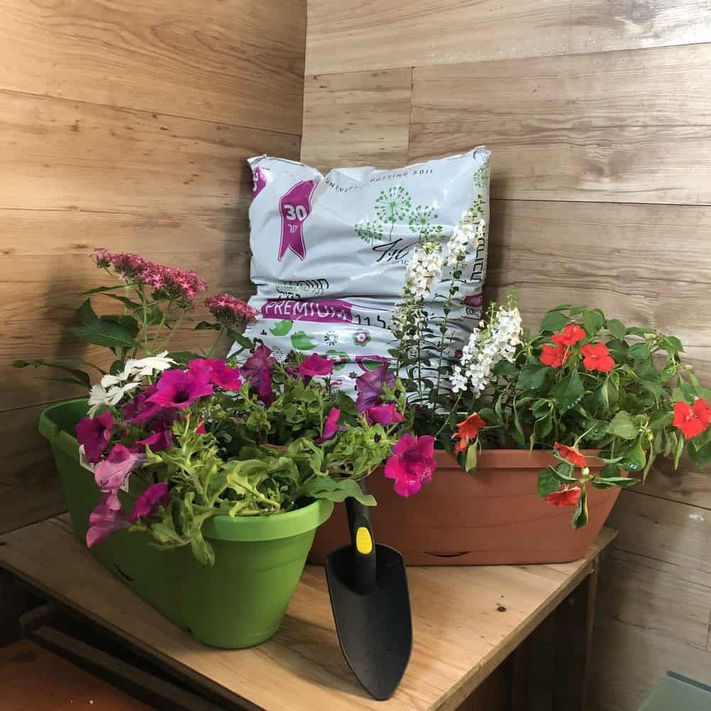 חבילת "גינון פלוס"