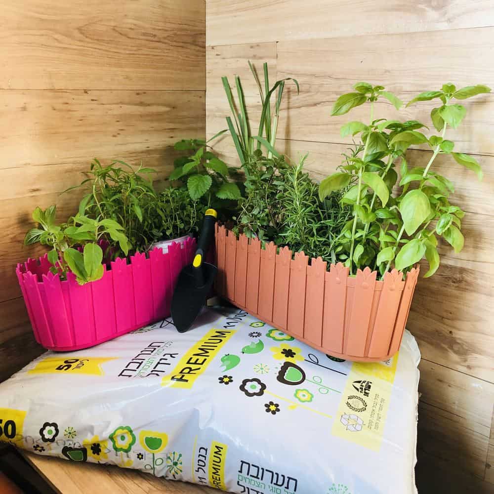 חבילת "התבלינים"