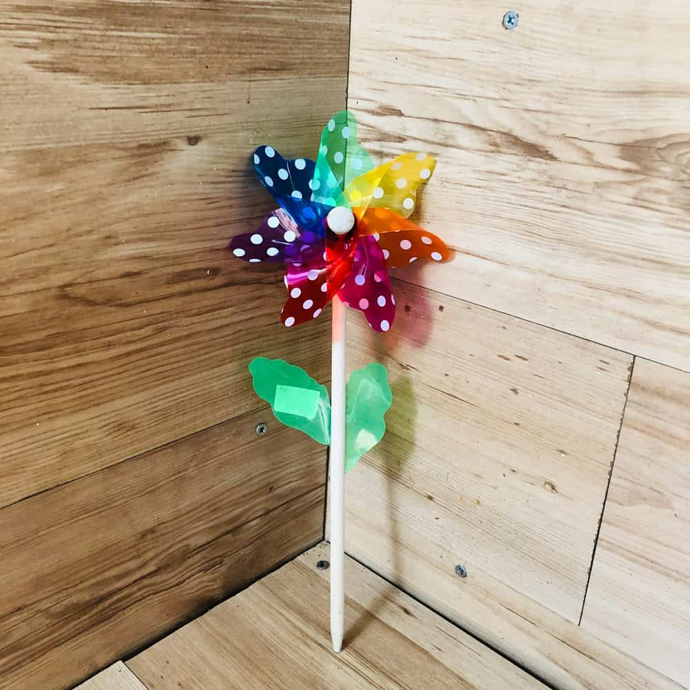 שבשבת צבעונית