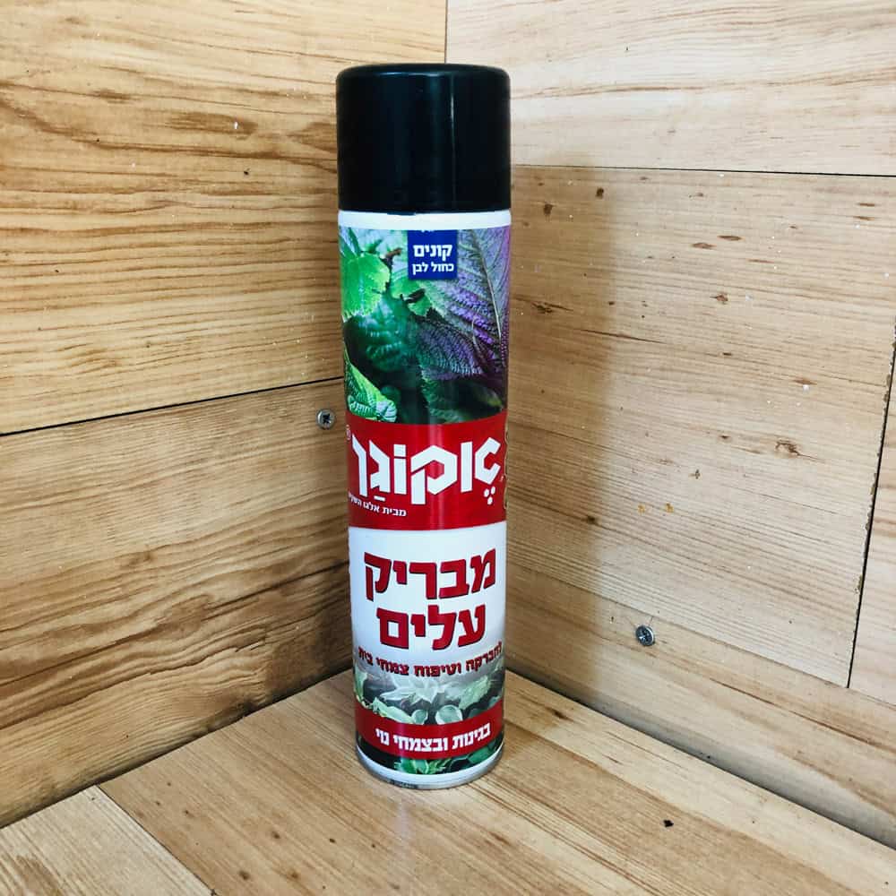 מבריק עלים - אקוגן