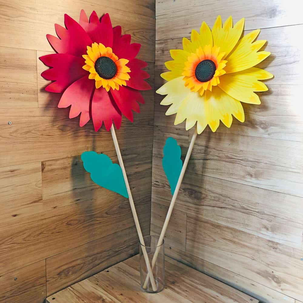 שבשבת חמניה ענקית