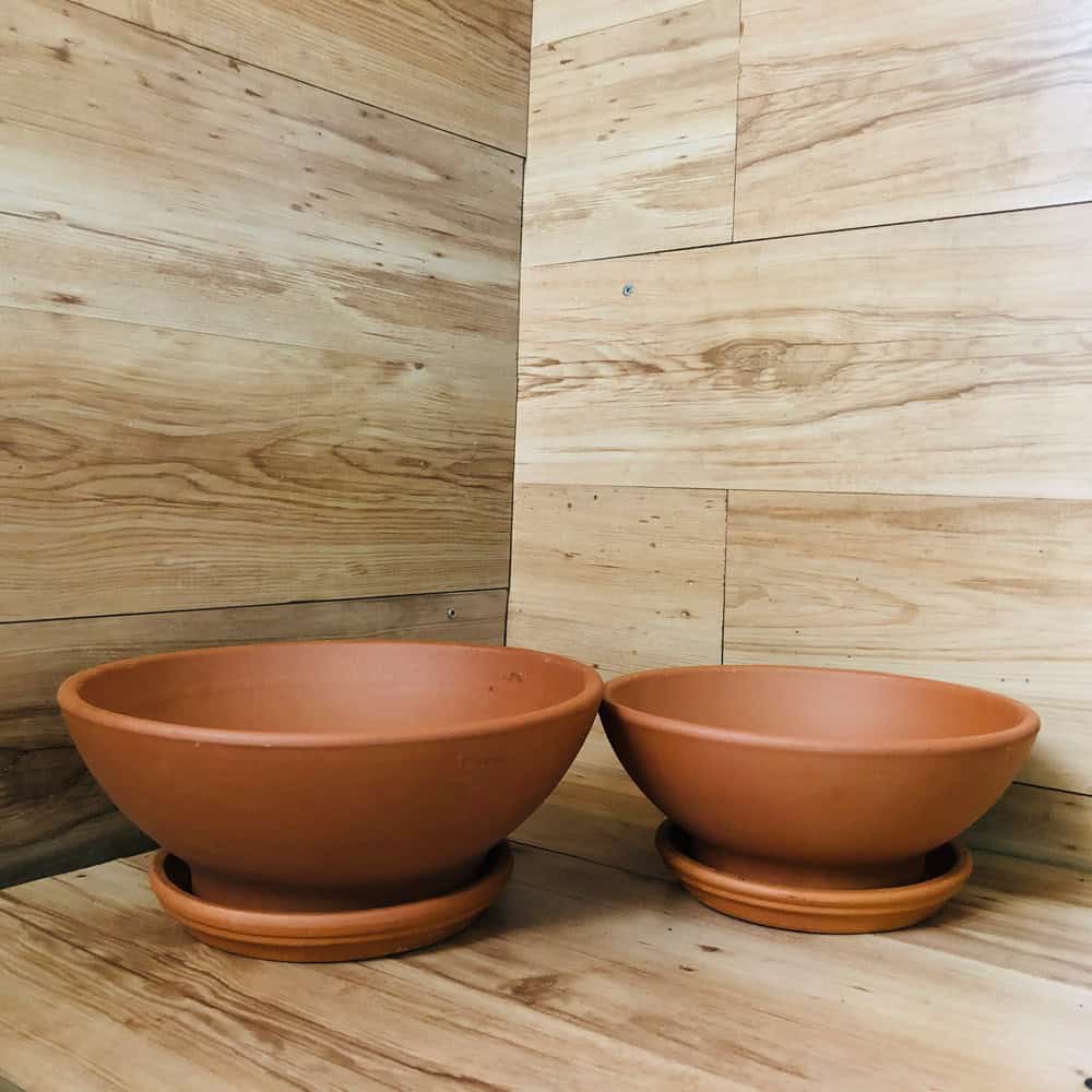 כלי טרקוטה קערה בינוני + צלחת