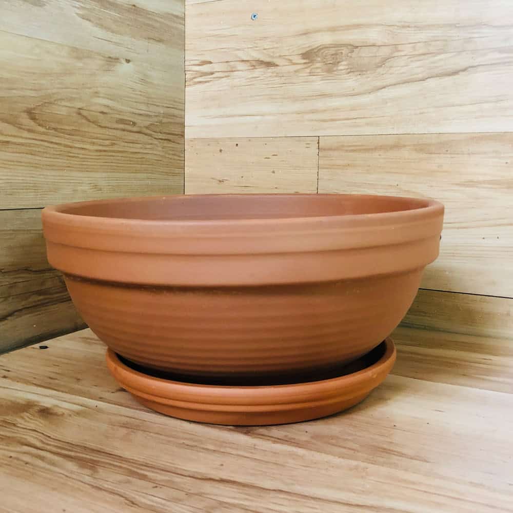 כלי טרקוטה קערה פסים גדול + צלחת