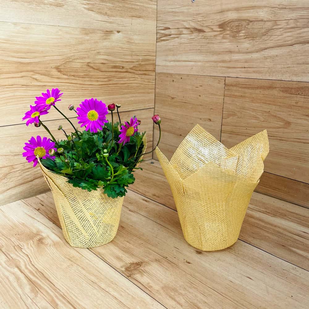 עטיפת יוטה בהירה