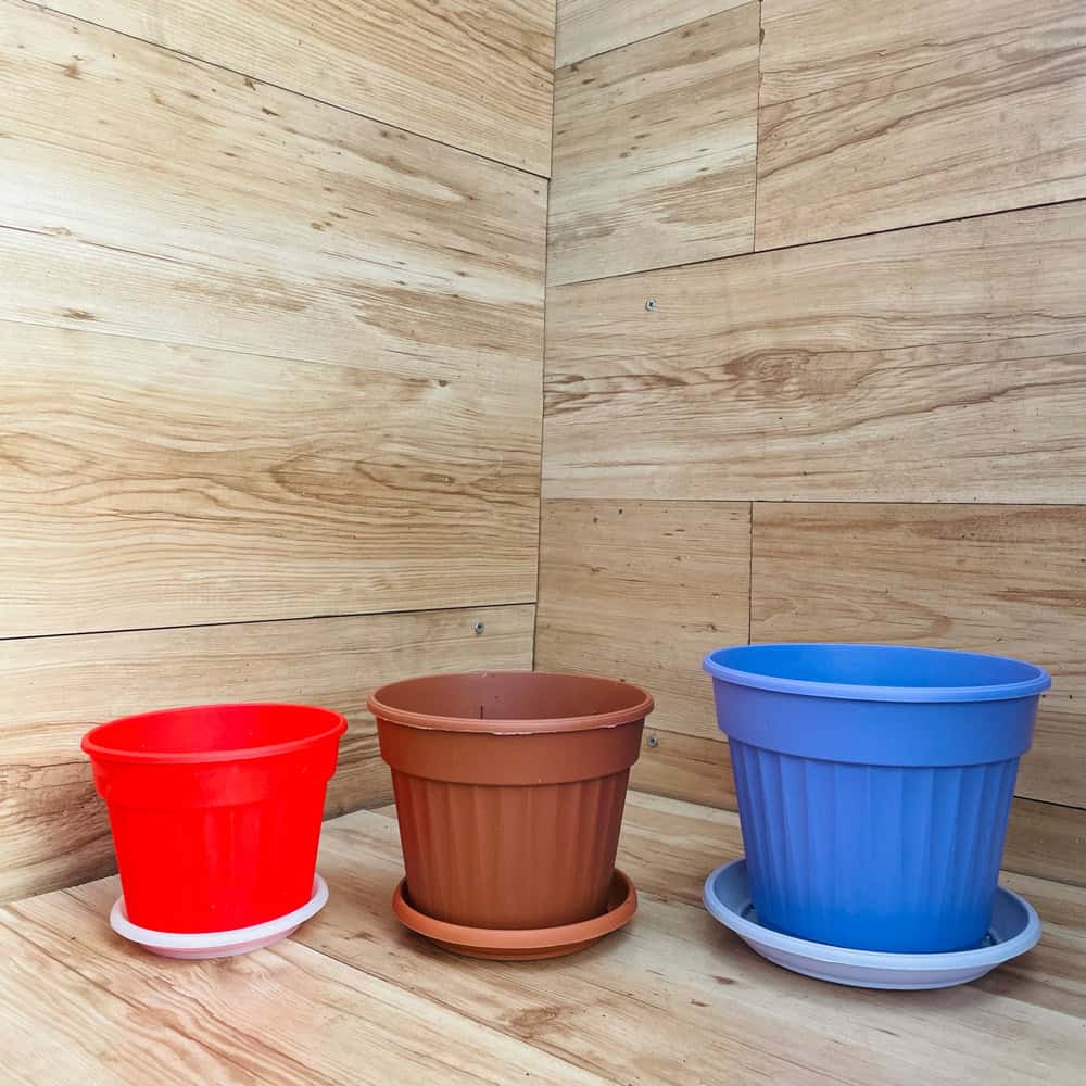 עציץ פלסטיק קטן + צלחת