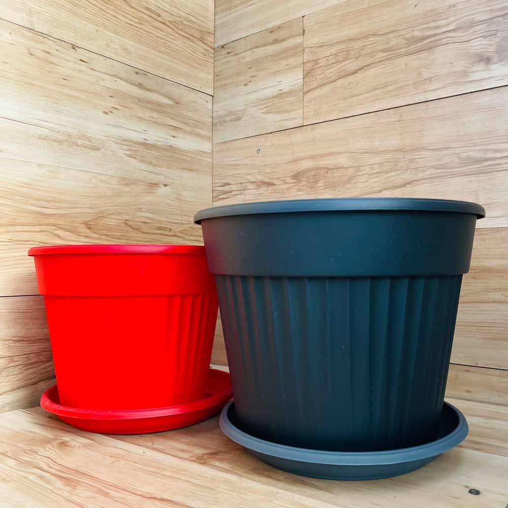 עציץ פלסטיק גדול + צלחת