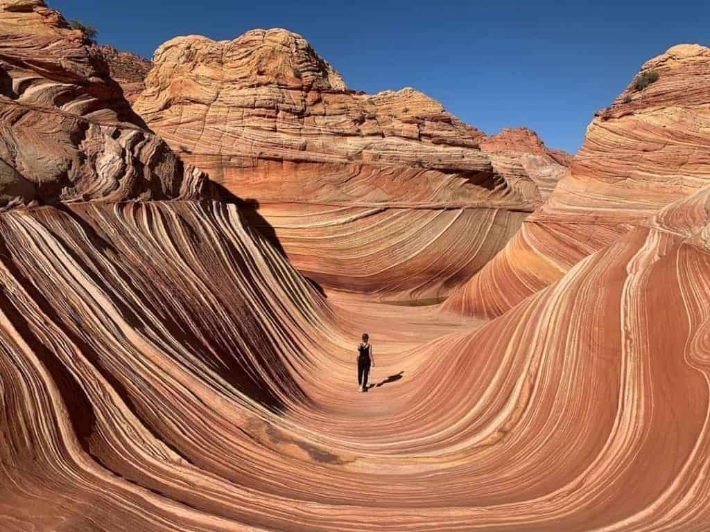 The Wave.