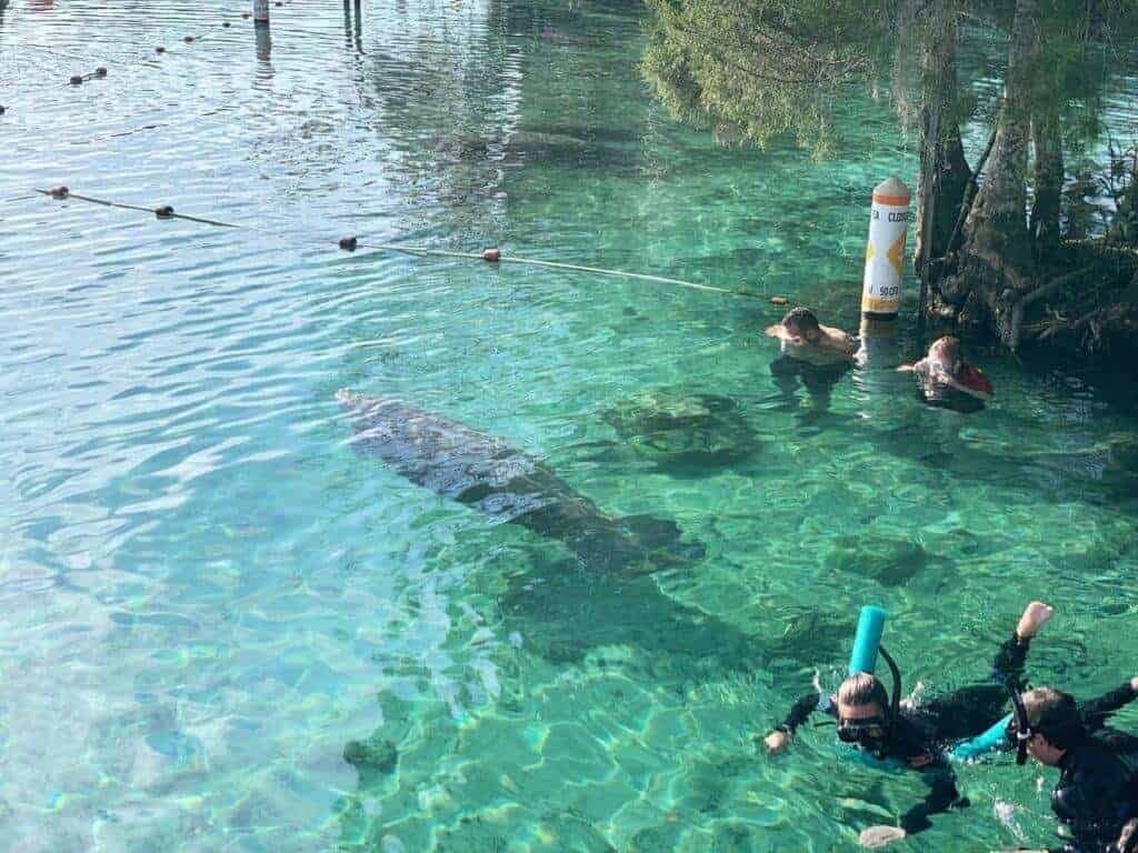 Crystal River Wildlife Refuge.
