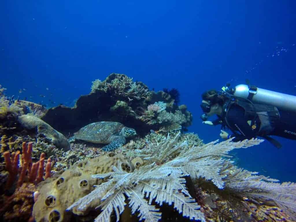 Scuba diving.