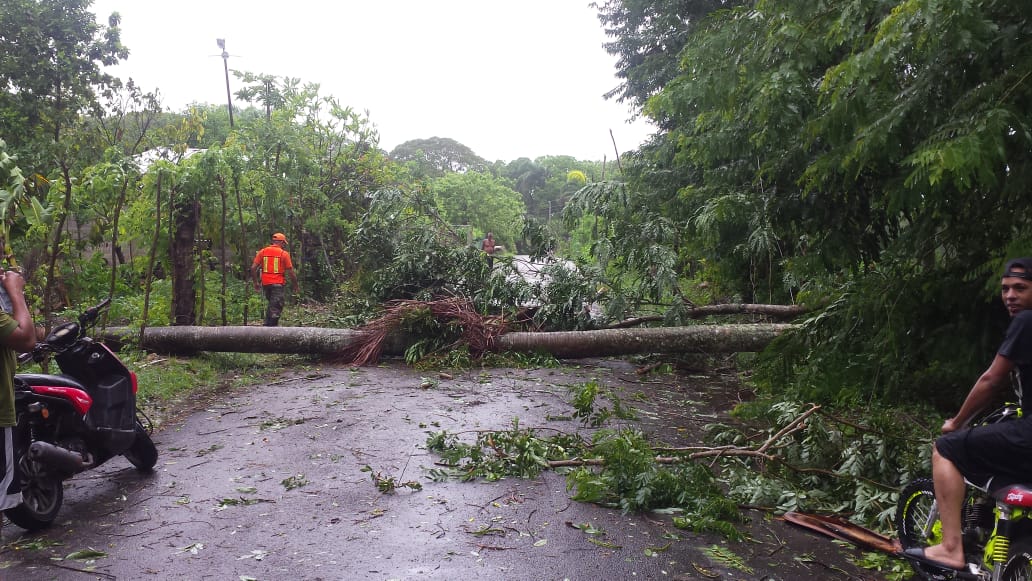 Carretera obstaculizada en Gaspar Hernández