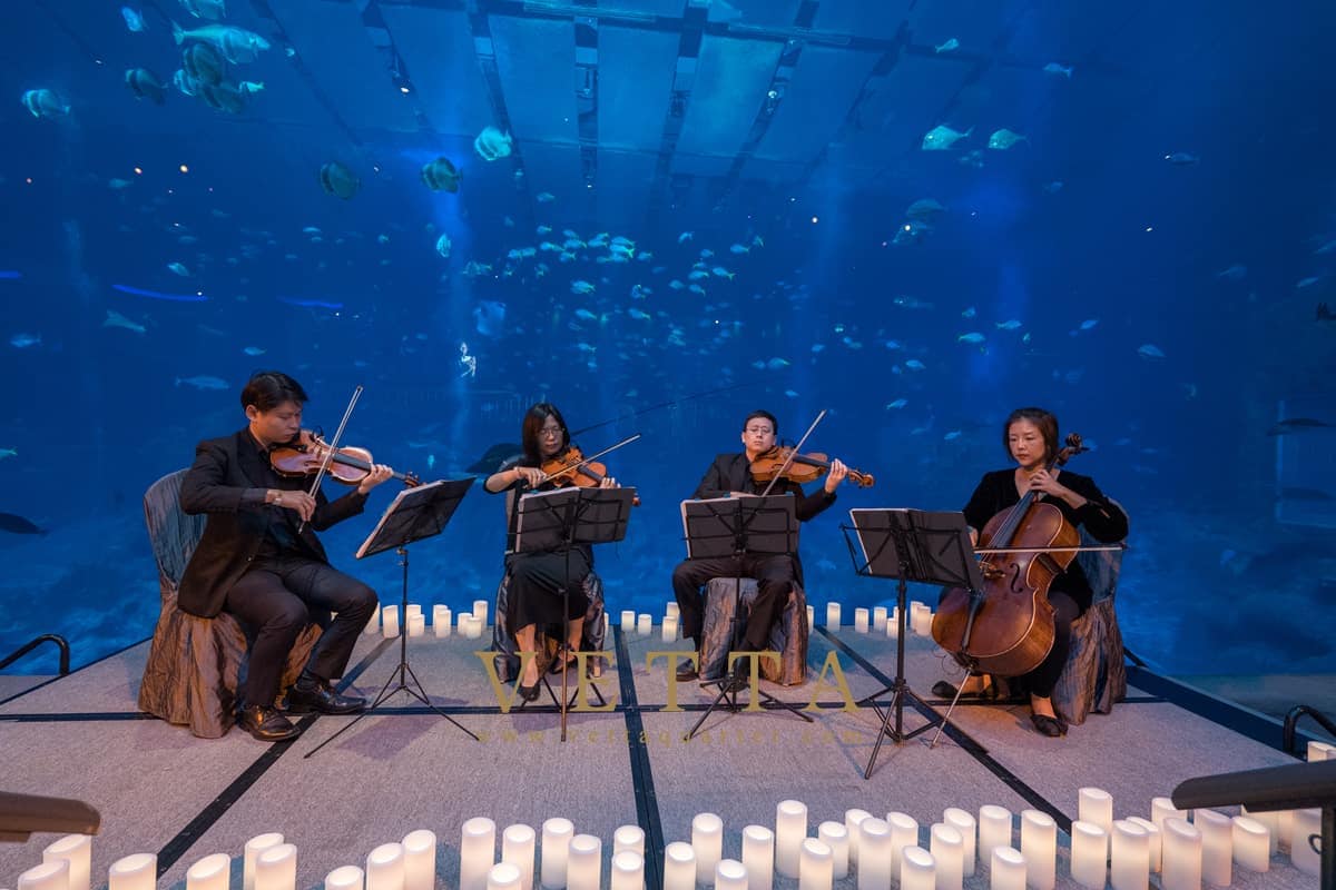Hustle & Bustle 5th Anniversary at Ocean Gallery, S.E.A. Aquarium accompanied by VETTA String Quartet