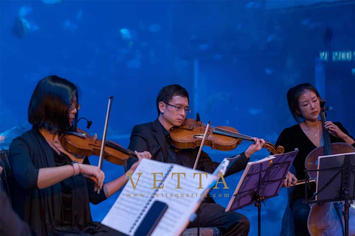 Hustle & Bustle 5th Anniversary at Ocean Gallery, S.E.A. Aquarium accompanied by VETTA String Quartet