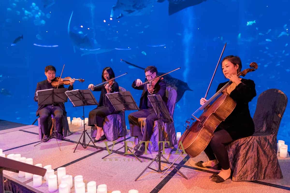 Hustle & Bustle 5th Anniversary at Ocean Gallery, S.E.A. Aquarium accompanied by VETTA String Quartet