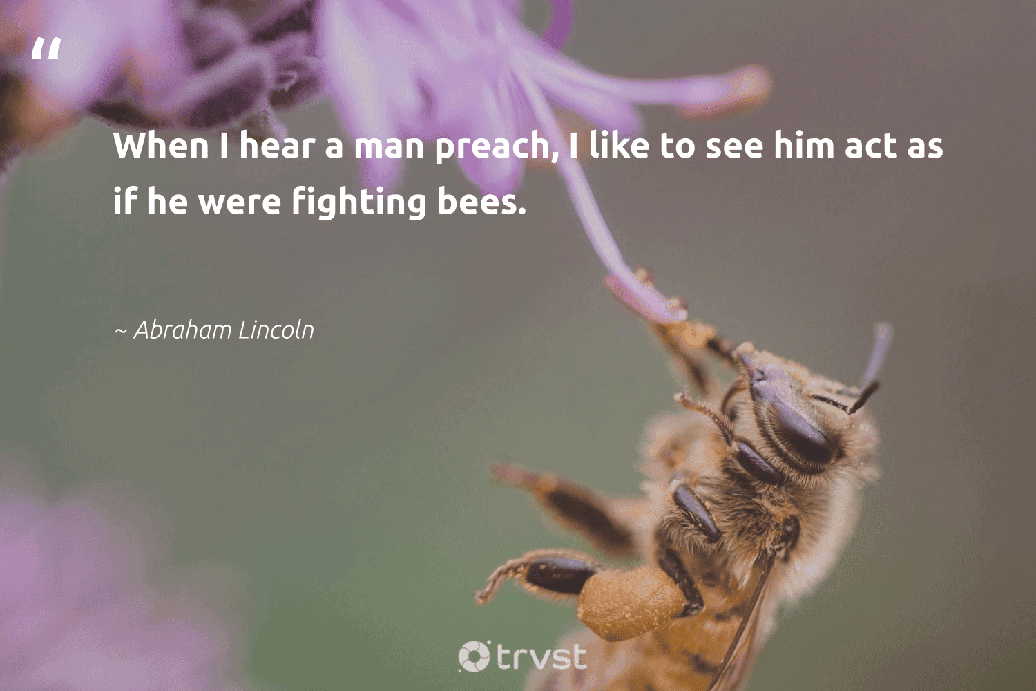 76 Bee Quotes And Famous Inspirational Bee Sayings