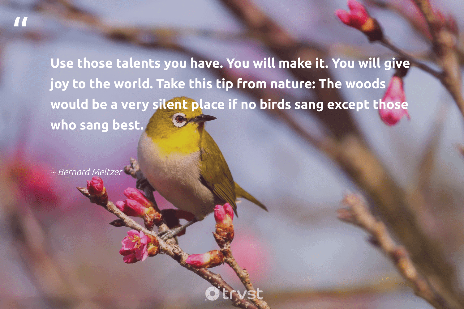 110 Bird Quotes And Sayings About Birds To Inspire Motivate