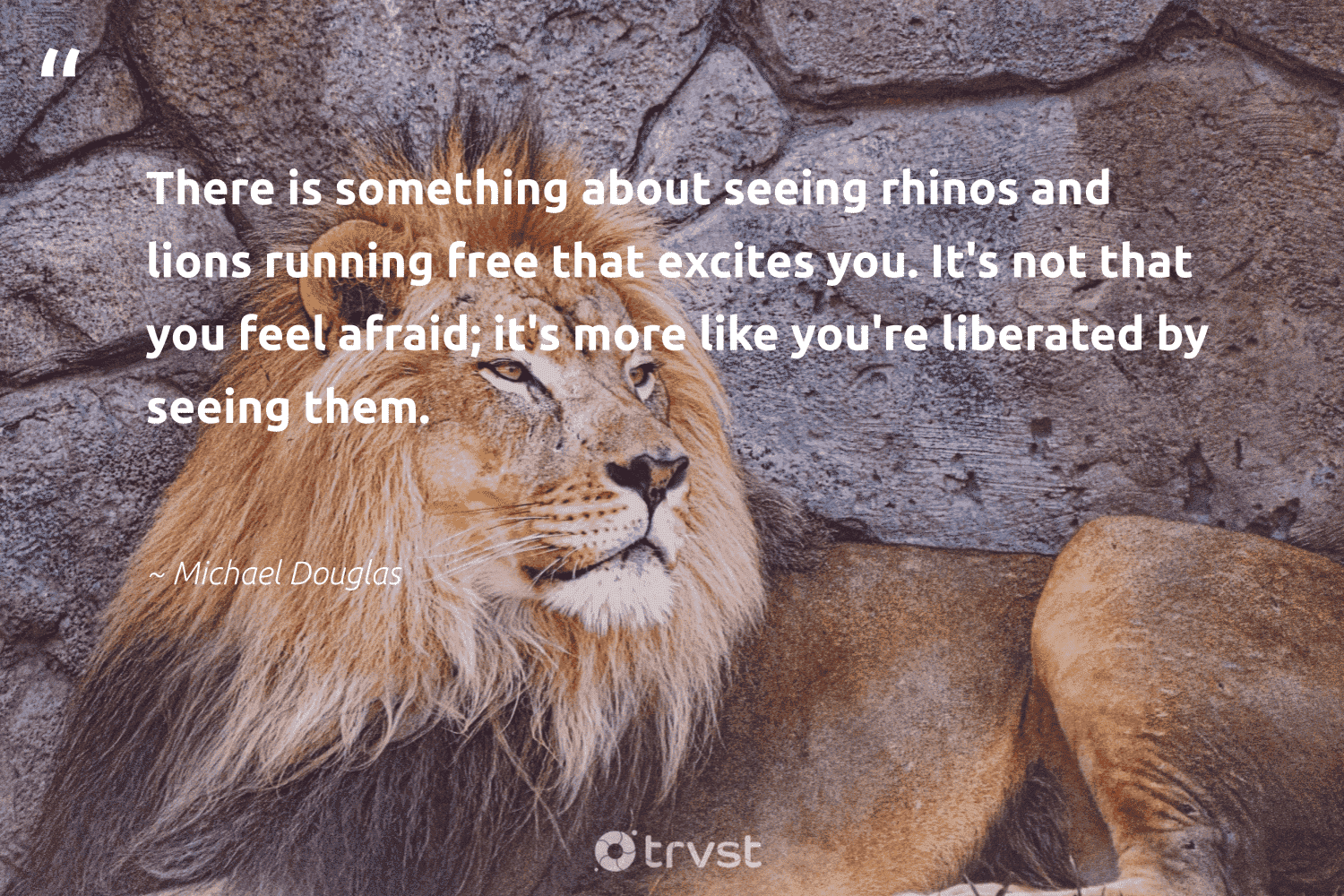 Lion Quotes - 42 Inspirational Lion Sayings & Famous Quotes