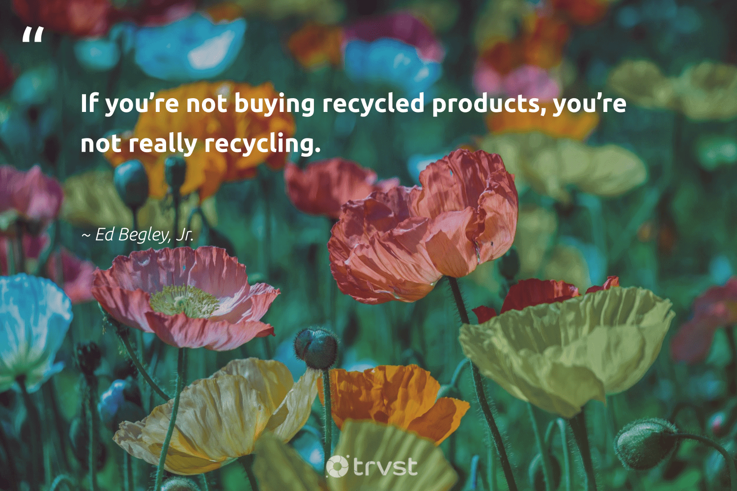 "If you're not buying recycled products, you're not really recycling."  - Ed Begley, Jr. #trvst #quotes #recycling #recycled #recycle #reducereuserecycle #wastefree #waronwaste #impact #repair #refurbished #ecoactivism 