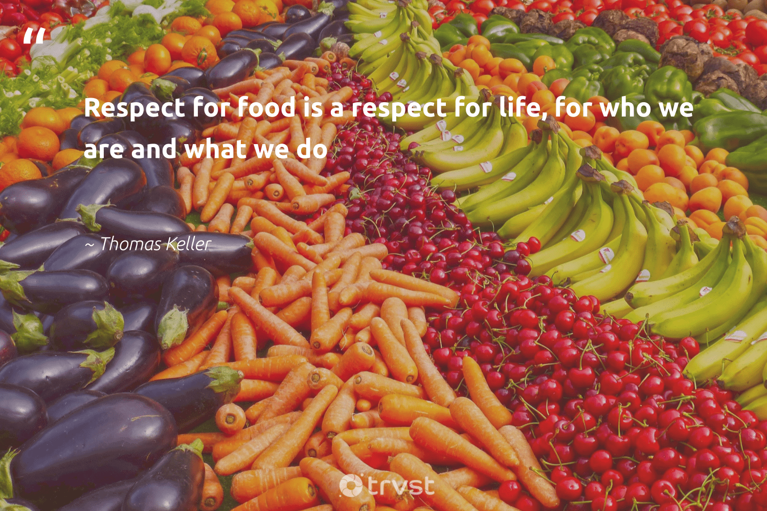 20 Food Waste Quotes Don T Waste Your Food Quotes To Inspire Action